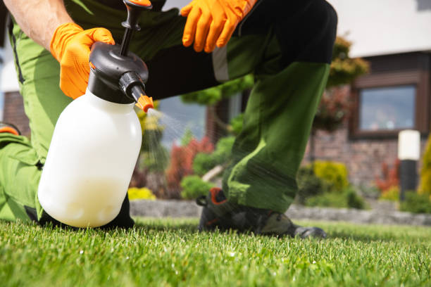 Professional Pest Control in Arapahoe, NE